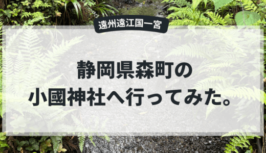 【静岡県：小國神社】神様からの歓迎サインをいただけたよ。