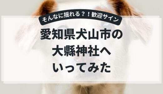 【愛知県犬山市：大縣神社】え、こんな風に揺れることあるん？