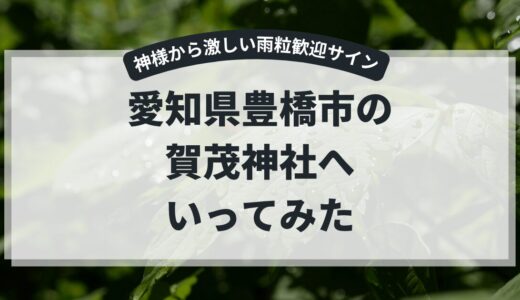 【愛知県豊川市：賀茂神社】思いもよらぬ参拝での出来事